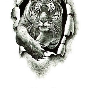 Tiger Crawling Through Hole Best Temporary Tattoos