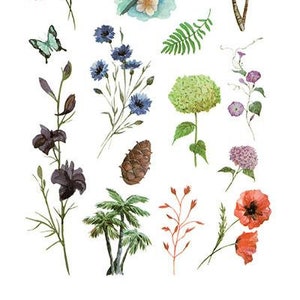 Wildflowers Blue Butterfly and Pine Cone Best Temporary Tattoos