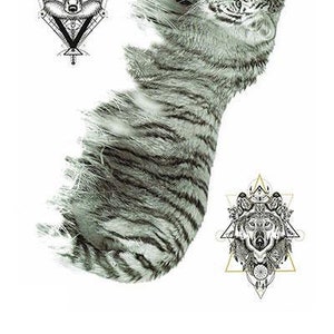 Fading Tiger Sketch Best Temporary Tattoos