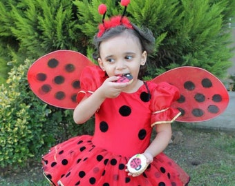 Kostüme & Verkleidungen 2-4 Years Children's Ladybug Costume Boys Plush Ladybird Insect Animal LA1685763 Kostüme & Verkleidungen 2-4 Years Children's Ladybug Costume Boys Plush Ladybird Insect Animal LA1685763