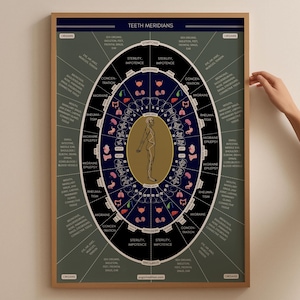 Póster con diagrama de órganos meridianos de los dientes de la medicina tradicional china, regalo de medicina china, asociación de meridianos de los dientes, póster de acupuntura, decoración de la oficina del acupunturista
