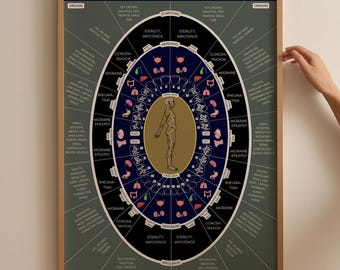 TCM Teeth Meridian Organ Chart, Chinese Medicine Acupuncture Poster (Digital Download)