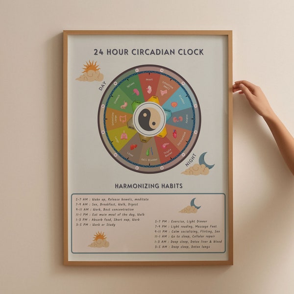TCM 24 Hour Circadian Clock Poster, Chinese Medicine Gift, Chinese Circadian Body Clock Chart Poster, Acupuncturist Office Decor Gift