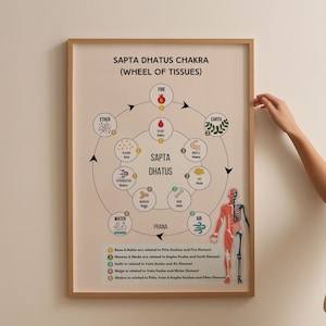 Ayurveda Sapta Dhatu Wheel Chart Poster 7 Dhatus relation with 5 Elements Study Aid Guide, Alternative Medicine, Well Being, Holistic Health