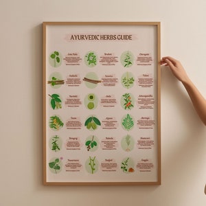 Ayurveda-Kräuterkarte, Ayurveda-Karte, 18 Kräuter mit Eigenschaften & Beschreibungen, Alternativmedizin druckbar, ganzheitliche Gesundheit