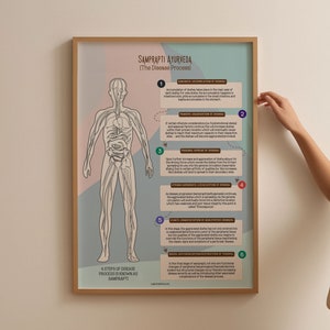 Op de afbeelding: Een ingelijste poster getiteld "SAMPRAPTI AYURVEDA (Het ziekteproces)" met een diagram van het menselijk lichaam en tekst die de zes stappen van de ziekte uitlegt. De poster heeft een lichtbruine lijst en een kleurrijke achtergrond.