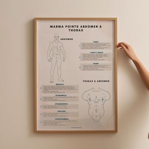 Ayurveda marma punten van buik thorax grafiek, energiepunten van ayurveda, afdrukbare alternatieve geneeskunde, welzijn, holistische gezondheid, punten