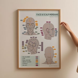 TCM Face and Scalp Meridians Poster, Chinese Medicine Gift, Chinese 12 Meridians Chart Acupuncture Poster, Acupuncturist Office Decor Gift