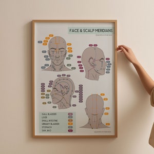 TCM Face Scalp Meridians Poster, Chinese Medicine Chart (Digital Download)
