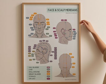 TCM Face Scalp Meridians Poster, Chinese Medicine Chart (Digital Download)
