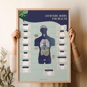 Ayurveda Kräuter für Organe Poster, Ayurveda Kräuter für Gesundheit Diagramm Poster, Alternativmedizin, Wohlbefinden, Ganzheitliche Gesundheit, Ayurveda Kunst