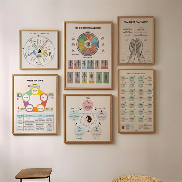 TCM Charts Posters Bundle of 6 Posters For Clinic, Choose Any 6 Charts For Chinese Medicine Self Study Students & Practitioners, Mix Match