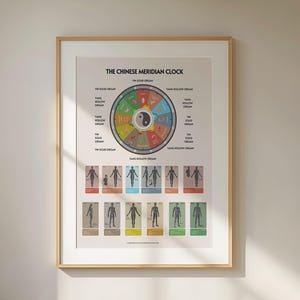 Op de afbeelding: Een ingelijste wandprint getiteld The Chinese Meridian Clock, met een centraal cirkelvormig diagram met een yin-yang symbool, omringd door kleurgecodeerde secties die organen vertegenwoordigen en twaalf menselijke silhouetten met anatomische labels.