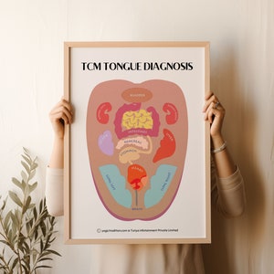 Poster TCM-kaart tongdiagnose + insteekboek planner, kaart traditionele Chinese geneeskunde, diagnose tong en organen, alternatieve geneeskunde