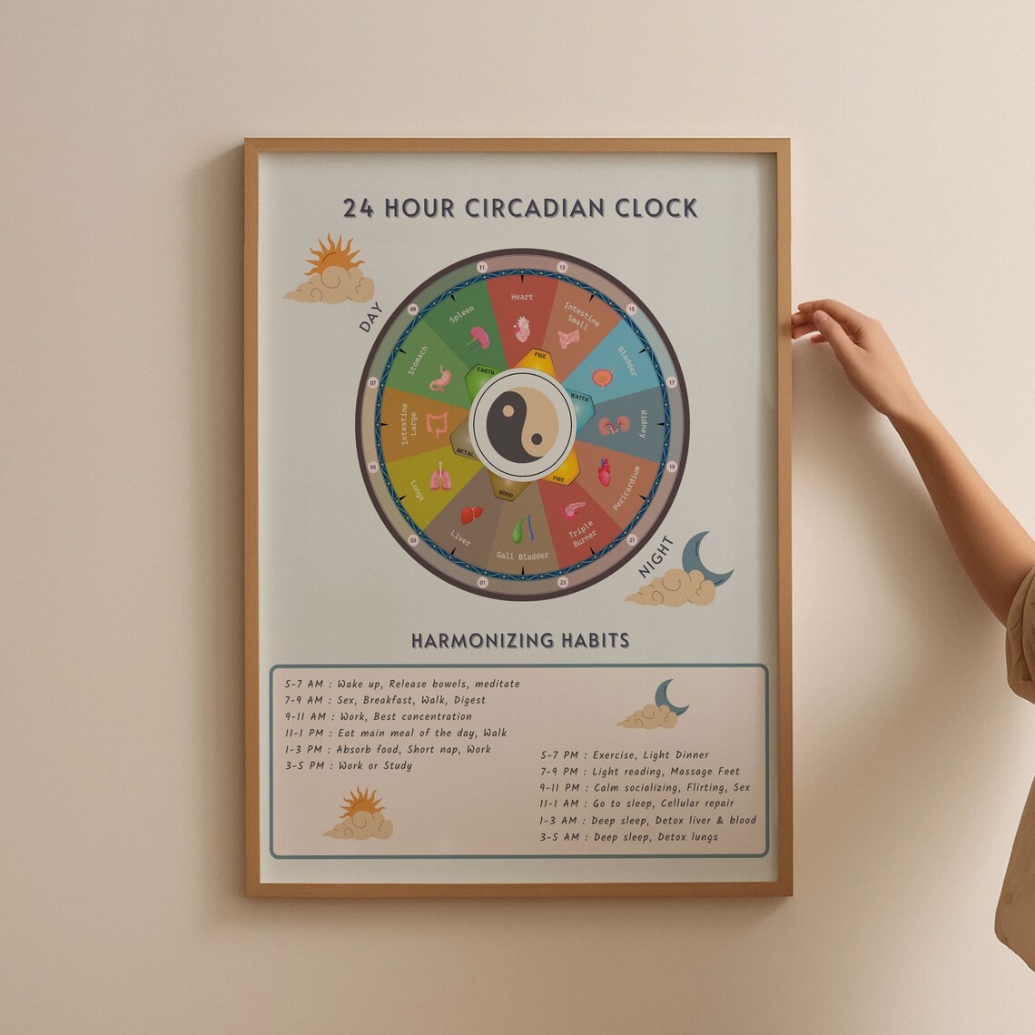 Body Clock Poster TCM Circadian Clock Poster — 24-hour Body Energy Chart - Etsy