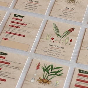 95 hierbas de la MTC con propiedades y descripciones. Tarjetas didácticas digitales. Tarjetas didácticas de medicina tradicional china. Práctica de acupuntura.