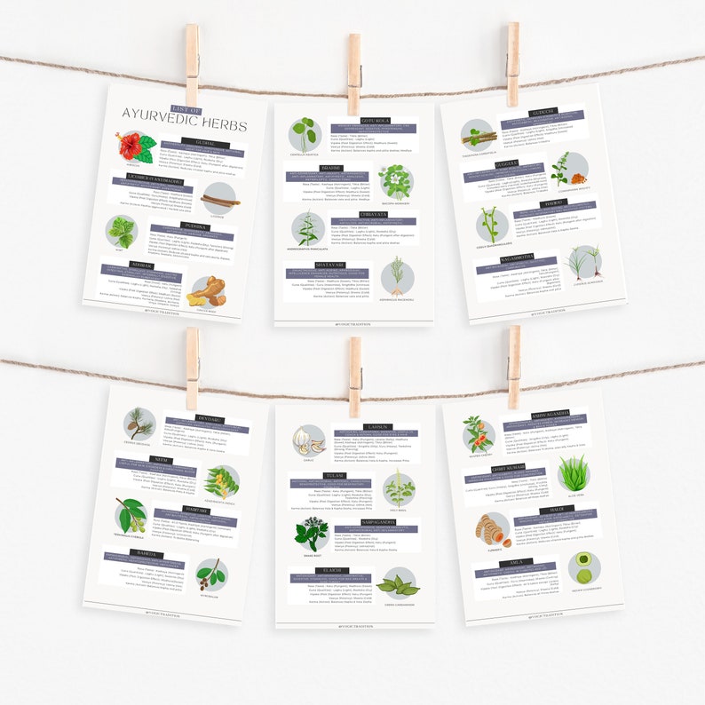 Bundle of Printable Ayurvedic Herbs Cheat Sheets Ayurveda Herbs Flash ...