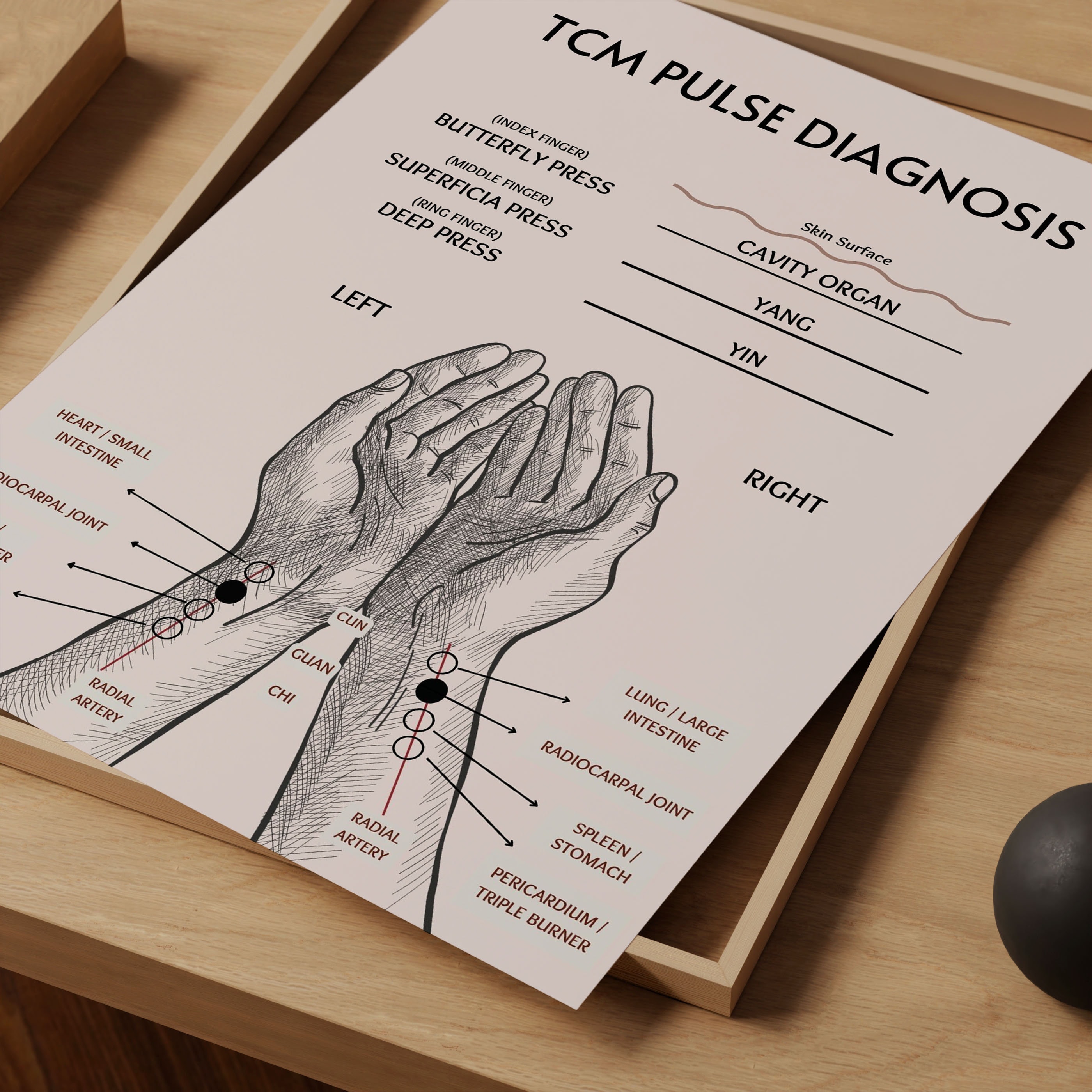 TCM Pulse Chart Poster, Traditional Chinese Medicine Pulse Reading Art