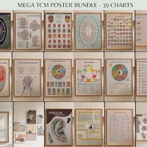 May include: A collection of 39 educational posters titled MEGA TCM POSTER BUNDLE, featuring diagrams of Traditional Chinese Medicine concepts including tongue diagnosis, pulse points, meridian clocks, organ functions, and auricular acupuncture points.