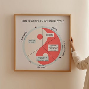 TCM Menstrual Cycle Print Poster, TCM Study Guide, Chinese Medicine Gift, Acupuncture Poster, Acupuncturist Gift, Acupuncturist Office Decor