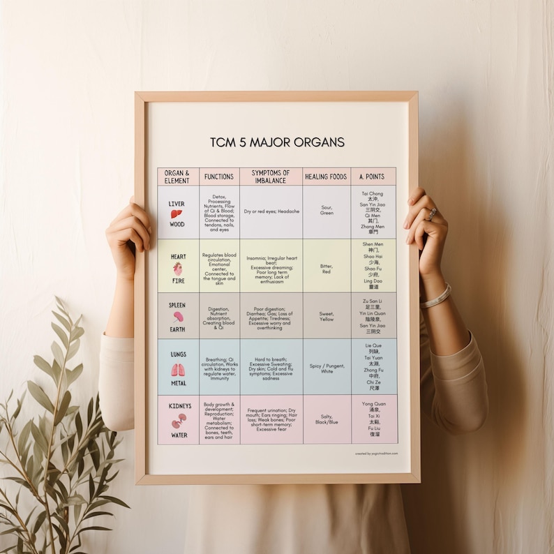 TCM 5 Major Organs Poster Chart, Traditional Chinese Medicine Gift
