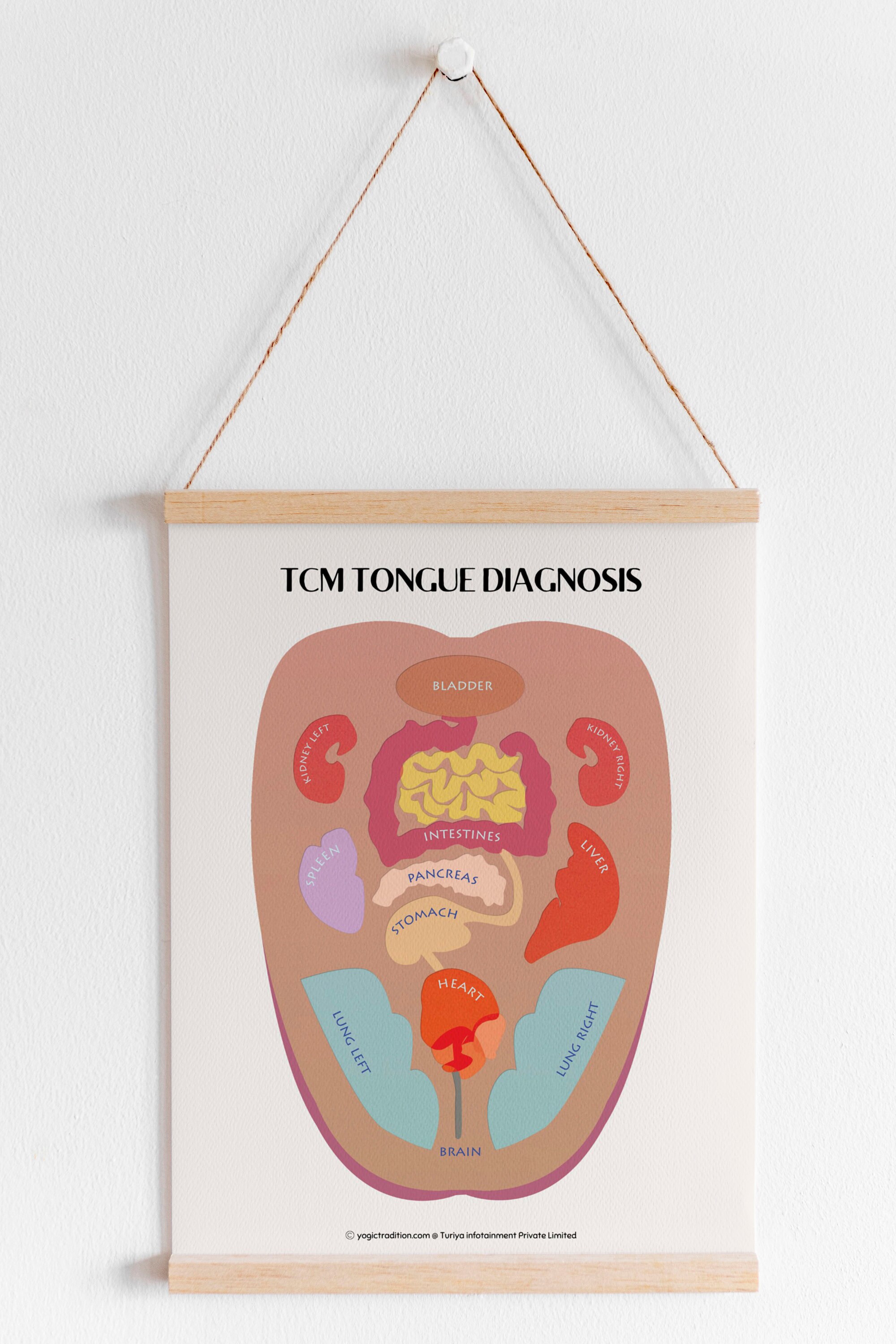 TCM Tongue Diagnosis Chart Poster Book Planner Insert, Traditional