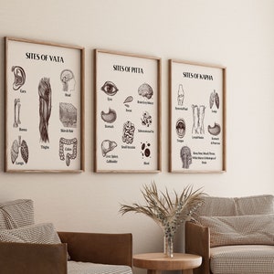 Set van 3 Vata Pitta Kapha-doshaposters ayurvedaposters + inlegvellen voor boekplanner, ayurvedagrafiek, dosha-posters, alternatieve geneeskunde