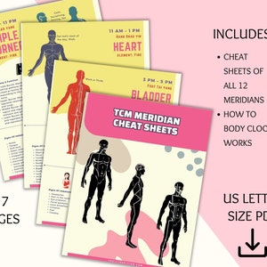 TCM 12 Meridians and Body Clock Guide, Chinese Medicine Cheat Sheets ...
