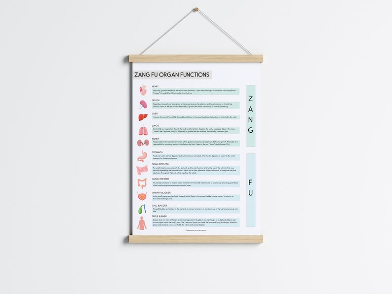 TCM Zang Fu Organs Poster, Organ Functions in Chinese Medicine Gift ...