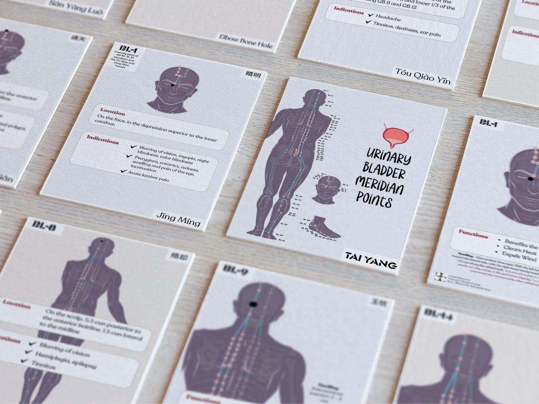 TCM Urinary Bladder Meridian Acupuncture Points Flash Cards, Chinese ...