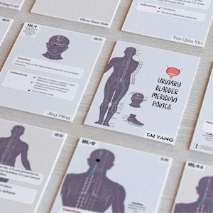 Może przedstawiać: Zestaw białych kart z ilustracjami i tekstem dotyczącym punktów akupunktury. Karty zawierają schematy ludzkiego ciała, rysunki anatomiczne i etykiety tekstowe. Karty są ułożone na jasnej powierzchni.