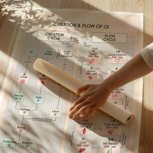 TCM Creation & Flow of Qi Poster, Chinese Medicine Gift, Creation of Qi Chart Acupuncture Poster, Flow of Qi Acupuncturist Office Decor Gift