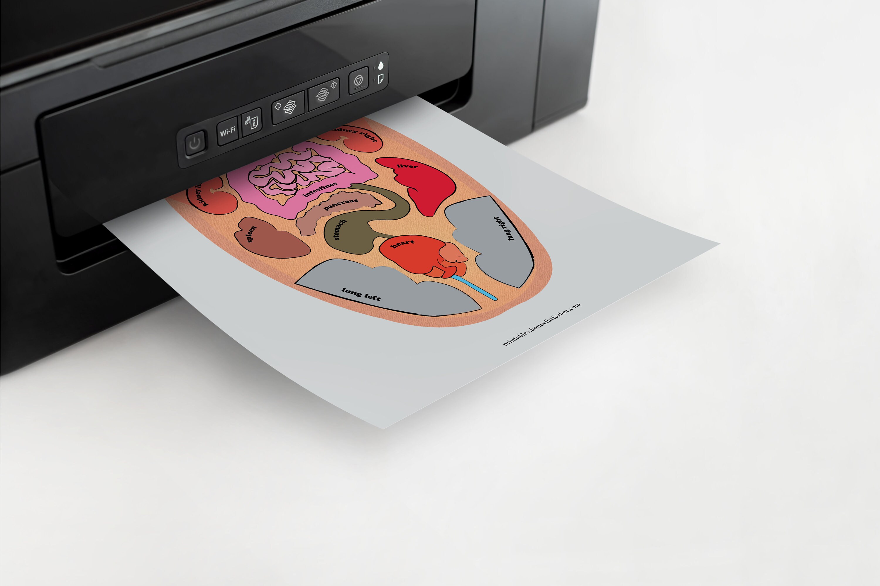 Ayurveda Tongue Diagnosis Chart Poster Book Planner Insert Etsy