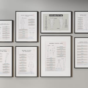 Op de afbeelding: Een set van acht zwart ingelijste posters met witte achtergronden en illustraties van het menselijk lichaam. Elke poster bevat de tekst "Marma Points" en de naam van een lichaamsgebied, zoals "Handen en armen" of "Buik en borstkas".