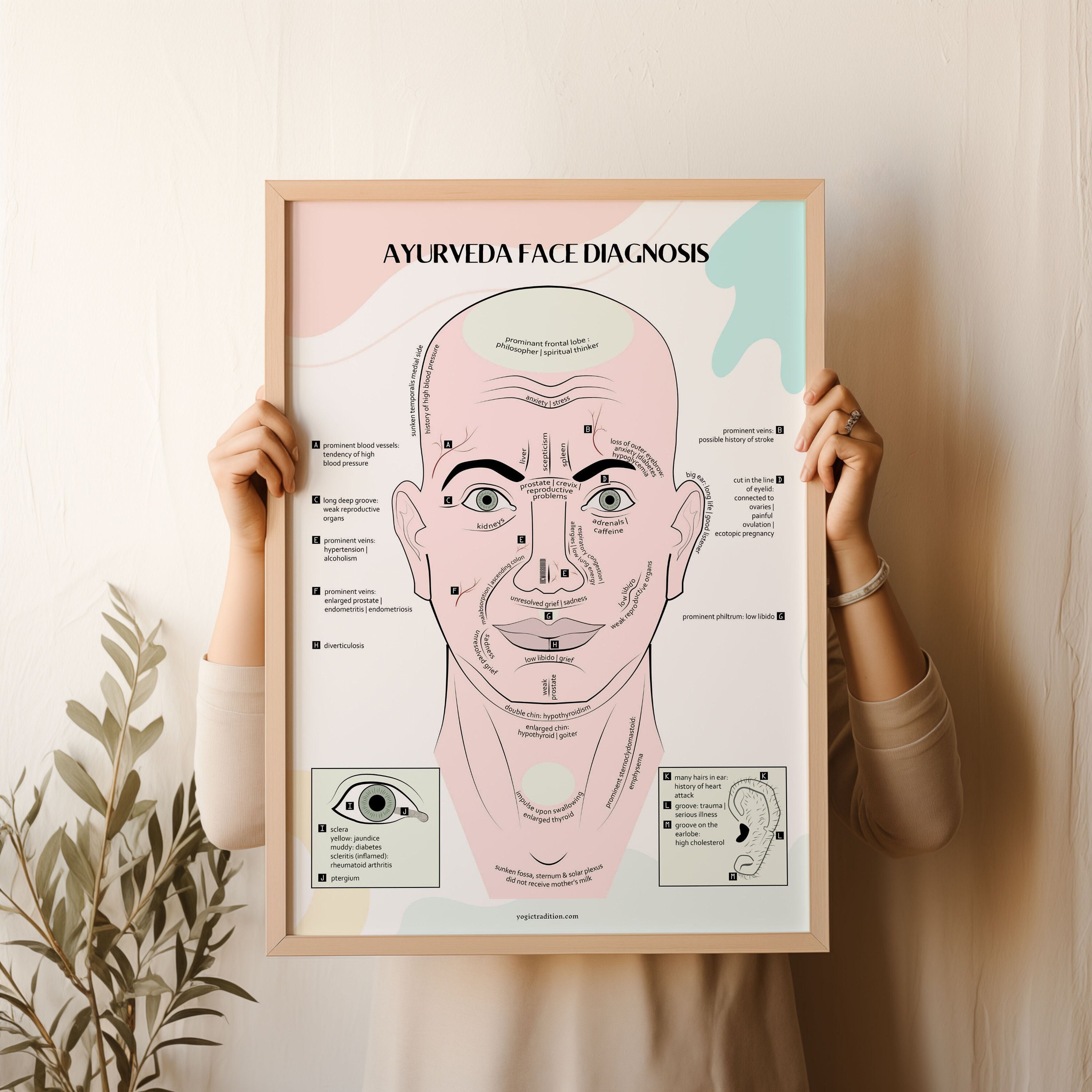 Ayurveda Face Diagnosis Poster Book Planner Insert, Ayurveda Chart