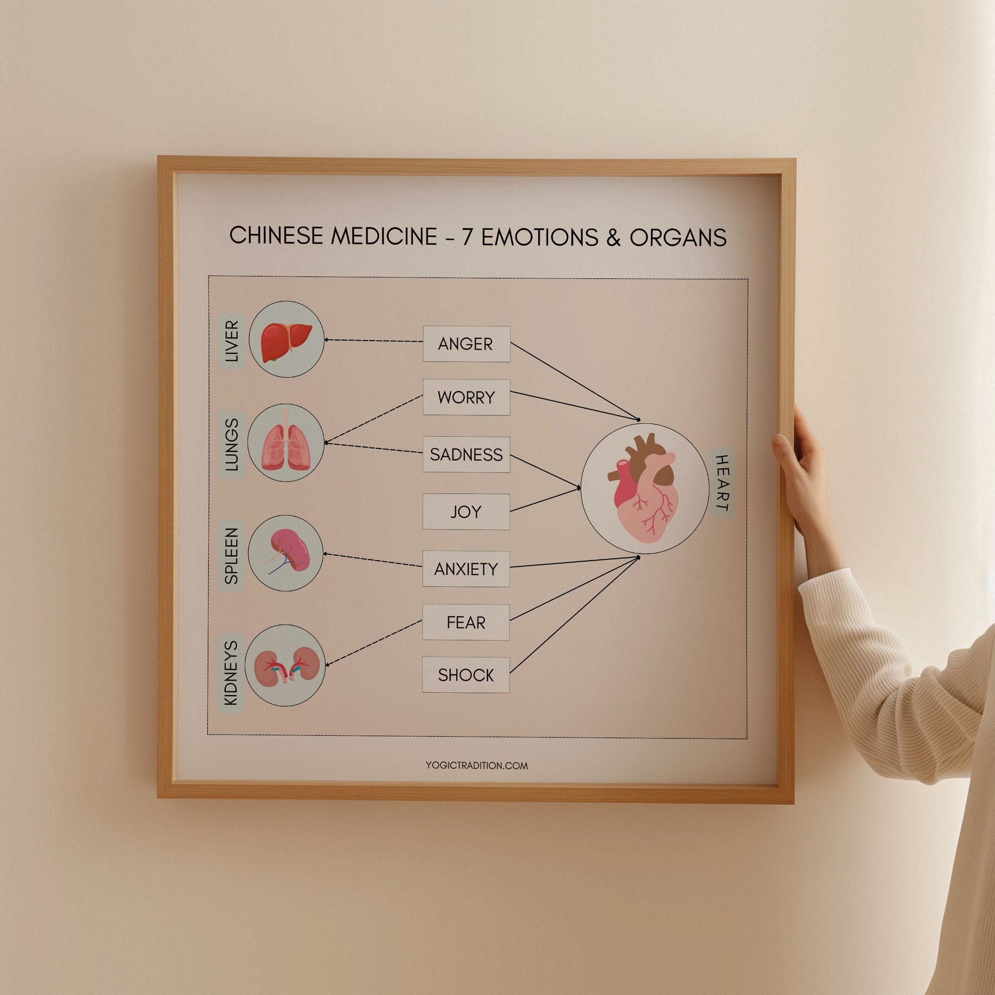 TCM 7 Emotions and Organs Poster, TCM Study Guide, Chinese Medicine Gift, Acupuncture Poster, Acupuncturist Gift, Acupuncturist Office Decor