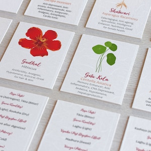 Tarjetas didácticas 55 hierbas ayurvédicas con propiedades y descripciones Tarjeta imprimible Educación digital Ayurveda Profesor Práctica Bienestar