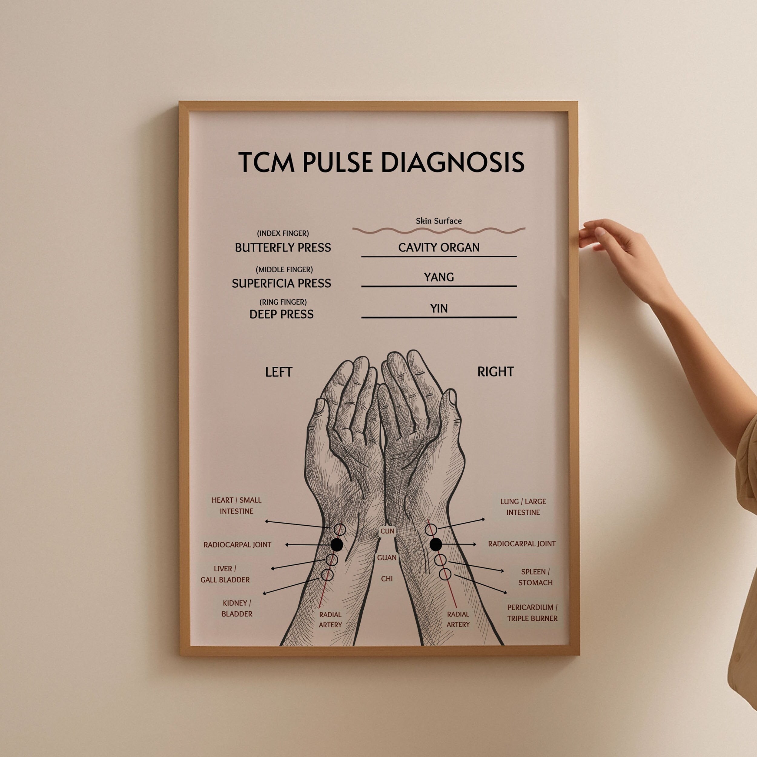 TCM Pulse Chart Poster, Traditional Chinese Medicine Pulse Reading Art
