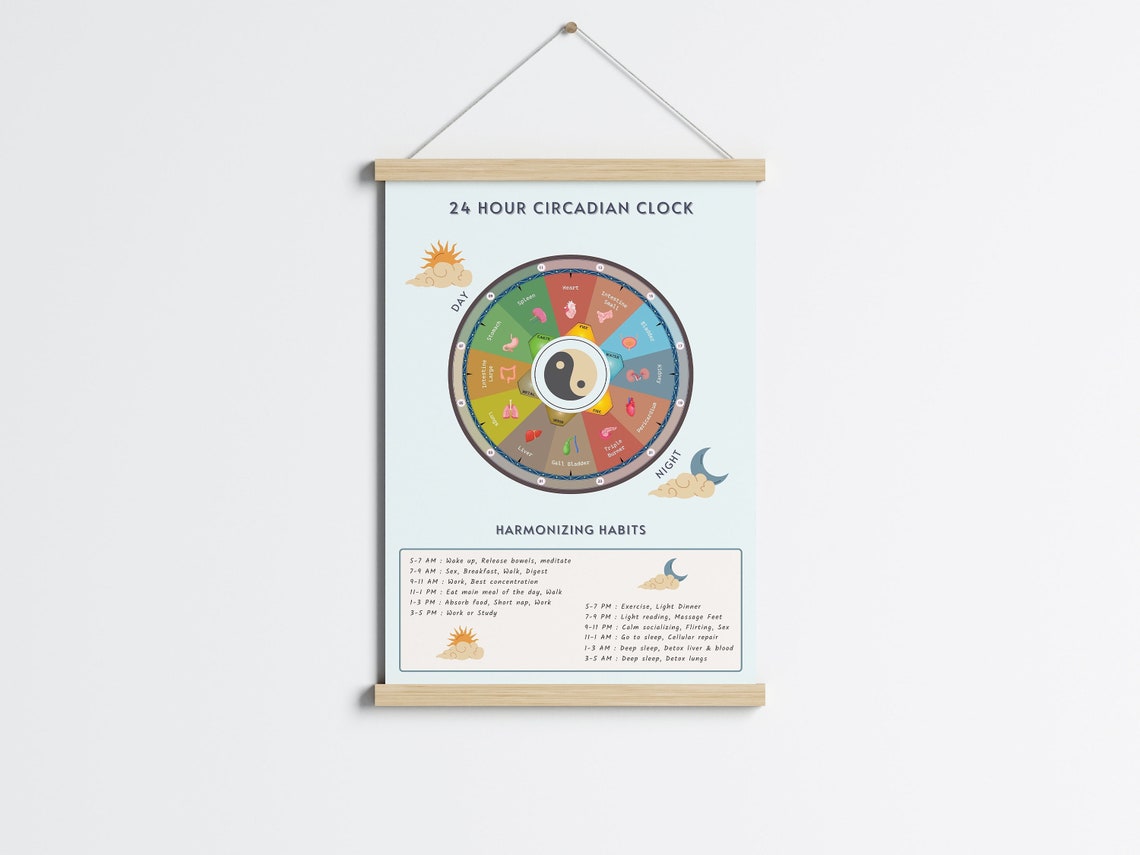 Body Clock Poster TCM Circadian Clock Poster — 24-hour Body Energy Chart - Etsy