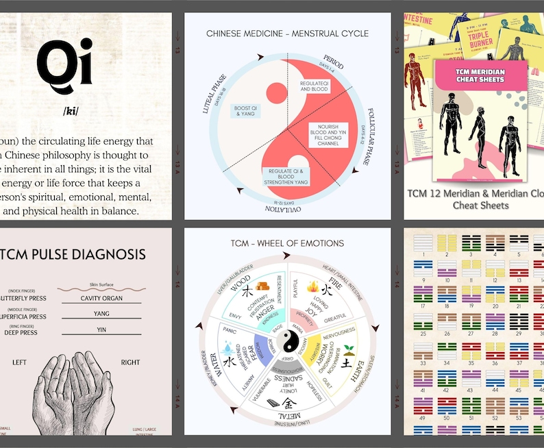 TCM Study Bundle: Chinese Medicine Charts, Posters, Cheat Sheets (US ...