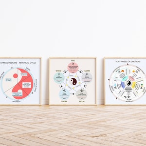 TCM Five Elements Emotion Wheel Poster, Chinese Medicine Organ Emotions ...