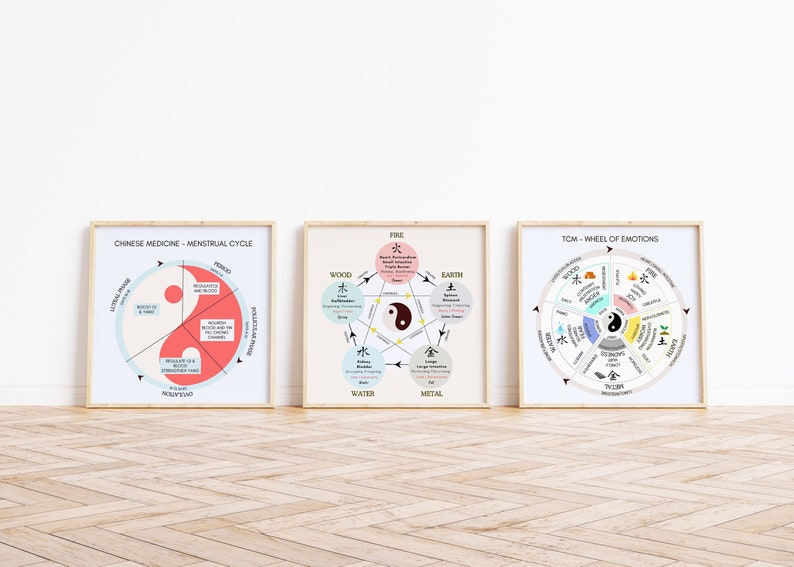 TCM Five Elements Emotion Wheel Poster, Chinese Medicine Organ Emotions ...