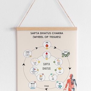 Ayurveda Sapta Dhatu Wheel Chart Poster 7 Dhatus Relation With 5 ...
