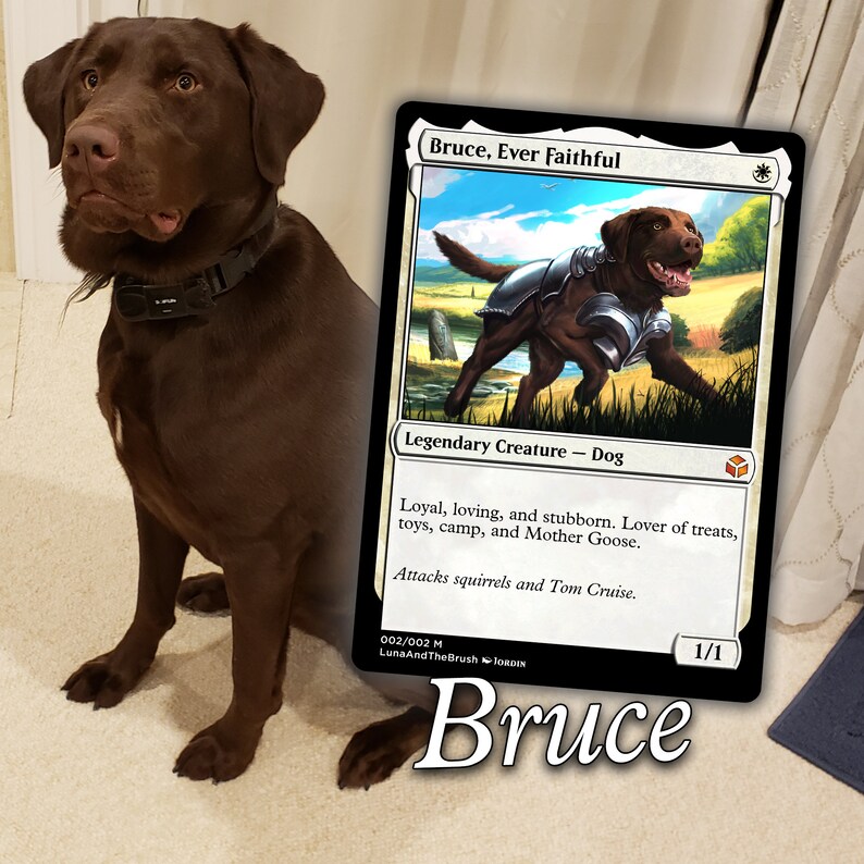 You/your Pet Into a Custom MTG Card Magic the Gathering Etsy