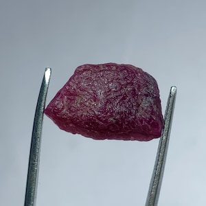 May include: A rough, uncut ruby gemstone, held by metal tweezers. The ruby is a deep, rich red color with a textured surface. The gemstone is irregularly shaped, showcasing its natural, unpolished state.