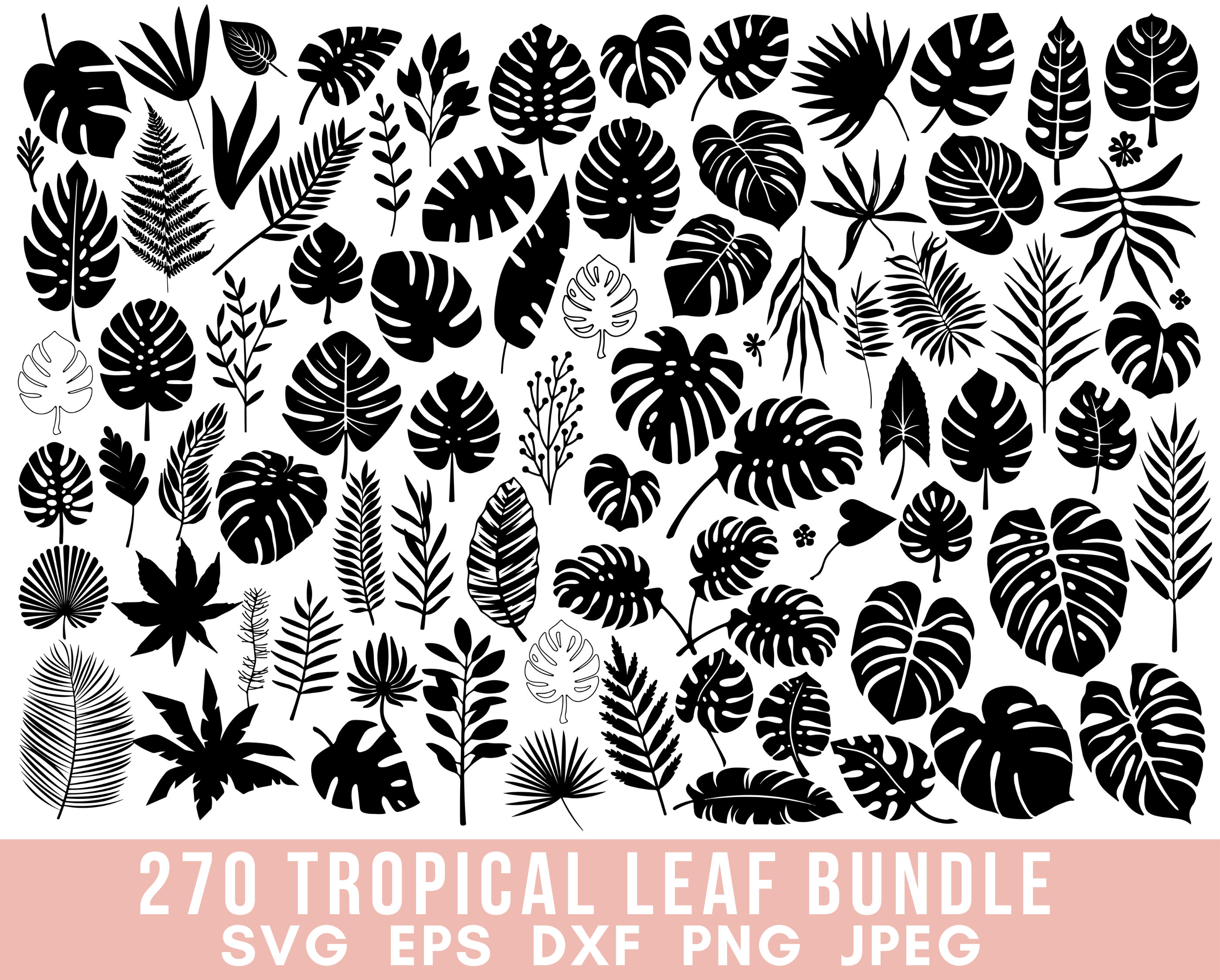 Palm Tree Leaf Pattern