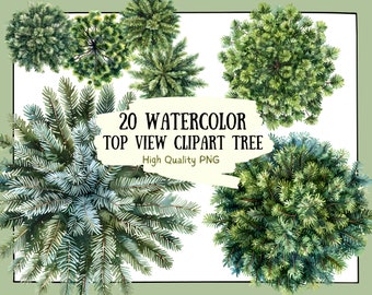Watercolor Tree Clipart: Top View PNG Bundle (PSD)