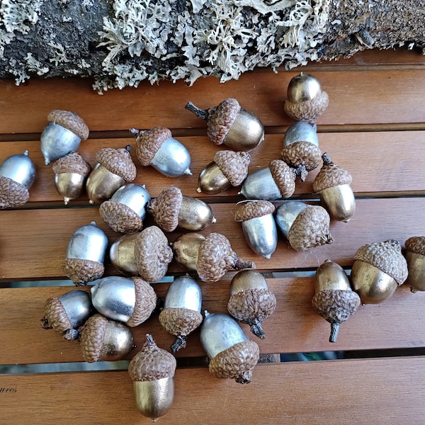 20 pieces Acorns with hats mixed silver gold painted, Wreaths Crafts Ornament, Natural decor Florist supplies, Acorn country decorations