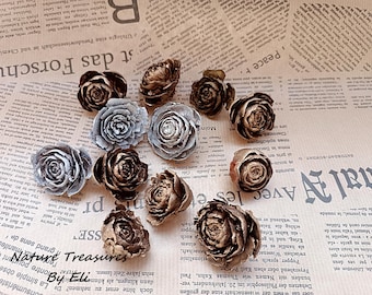 12 small Cedar Rose flowers, Deodar Cedar Cones, Wreaths Crafts Potpourri Hobby Ornament Natural decor, Florist supplies. Terrarium Deodar