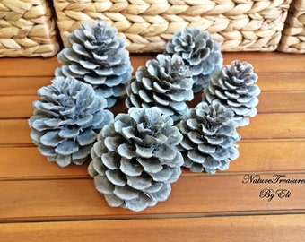 Gedroogde natuurlijke dennenappels voor doe-het-zelf, biologische bruine huisvoorraad, bosdecoratie en knutselen, rustiek, landelijk kerstdecor